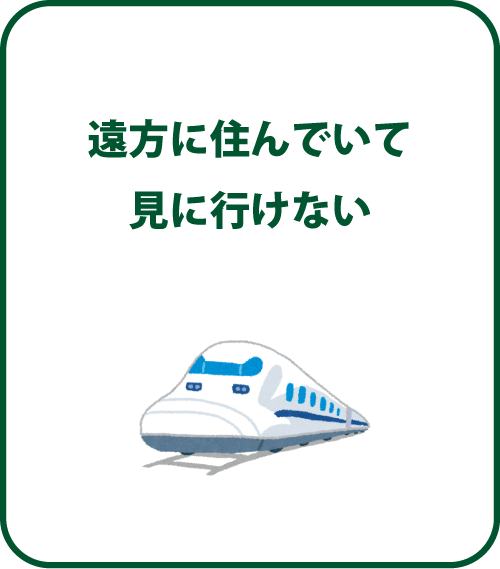 遠方に住んでいて見に行けない